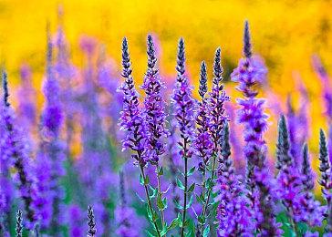 《无尽地牢》新英雄“地堡”公布 预告片分享